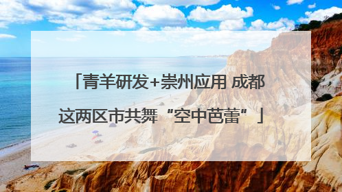 青羊研发+崇州应用 成都这两区市共舞“空中芭蕾”
