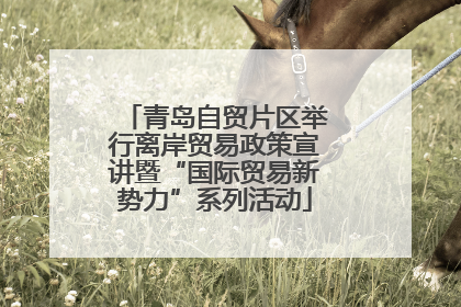 青岛自贸片区举行离岸贸易政策宣讲暨“国际贸易新势力”系列活动