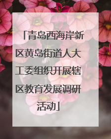 青岛西海岸新区黄岛街道人大工委组织开展辖区教育发展调研活动