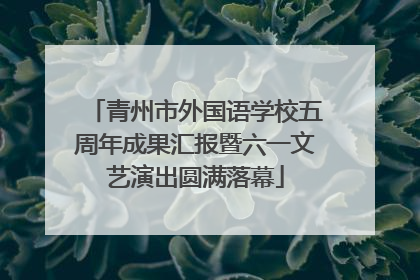 青州市外国语学校五周年成果汇报暨六一文艺演出圆满落幕
