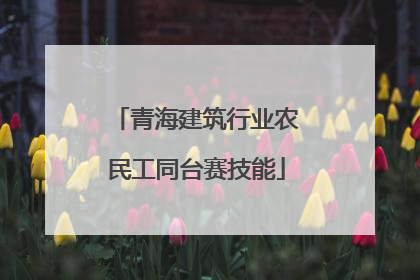 青海建筑行业农民工同台赛技能