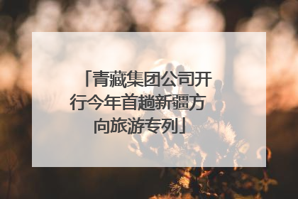 青藏集团公司开行今年首趟新疆方向旅游专列