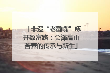 非遗“老鹳嘴”啄开致富路：会泽高山苦荞的传承与新生