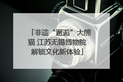 非遗“邂逅”大熊猫 江苏无锡博物院解锁文化新体验
