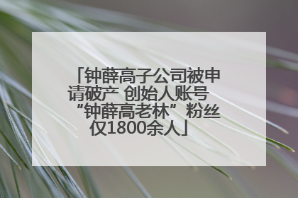 钟薛高子公司被申请破产 创始人账号“钟薛高老林”粉丝仅1800余人