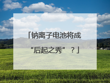 钠离子电池将成“后起之秀”？