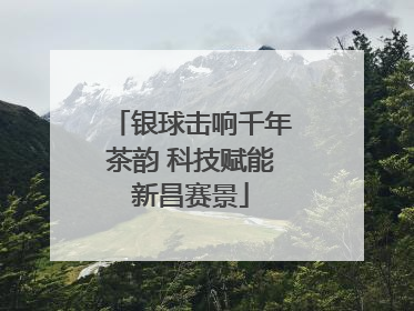 银球击响千年茶韵 科技赋能新昌赛景