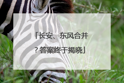 长安、东风合并？答案终于揭晓