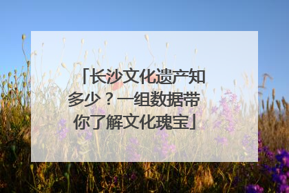 长沙文化遗产知多少？一组数据带你了解文化瑰宝