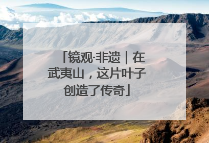 镜观·非遗｜在武夷山，这片叶子创造了传奇