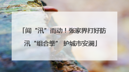 闻“汛”而动！张家界打好防汛“组合拳” 护城市安澜