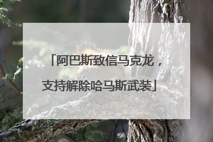 阿巴斯致信马克龙，支持解除哈马斯武装