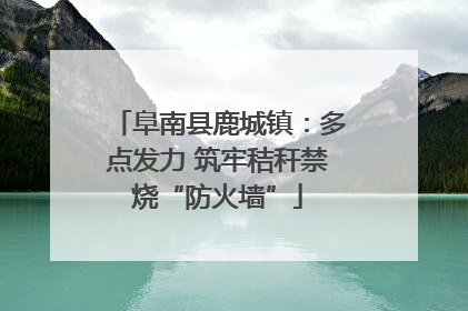 阜南县鹿城镇：多点发力 筑牢秸秆禁烧“防火墙”