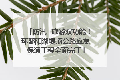 防汛+旅游双功能！环鄱阳湖堤顶公路应急保通工程全面完工