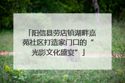 阳信县劳店镇湖畔嘉苑社区打造家门口的“光影文化盛宴”