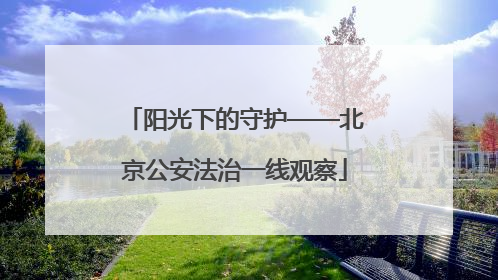 阳光下的守护——北京公安法治一线观察