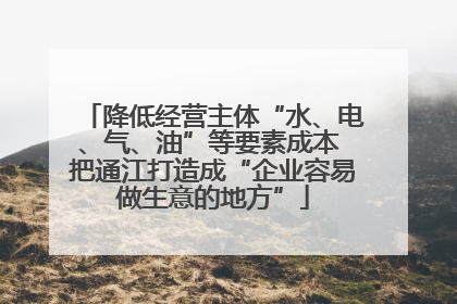 降低经营主体“水、电、气、油”等要素成本 把通江打造成“企业容易做生意的地方”