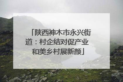 陕西神木市永兴街道：村企结对促产业 和美乡村展新颜