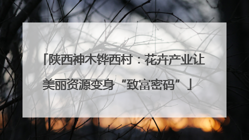 陕西神木铧西村：花卉产业让美丽资源变身“致富密码”