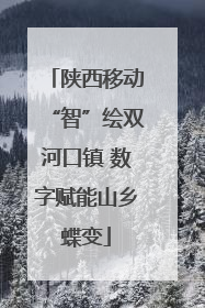陕西移动“智”绘双河口镇 数字赋能山乡蝶变