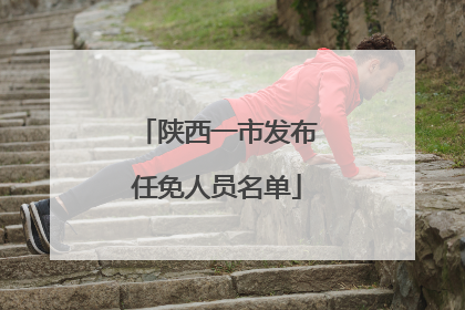 陕西一市发布任免人员名单