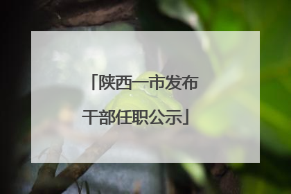 陕西一市发布干部任职公示