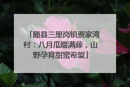 随县三里岗镇贾家湾村：八月瓜缀满藤，山野孕育甜蜜希望