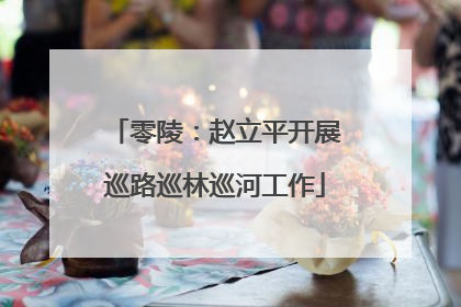 零陵：赵立平开展巡路巡林巡河工作