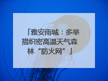 雅安雨城：多举措织密高温天气森林“防火网”