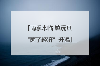 雨季来临 镇沅县“菌子经济”升温