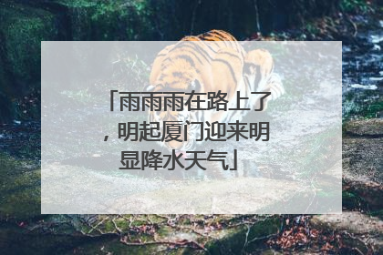 雨雨雨在路上了，明起厦门迎来明显降水天气