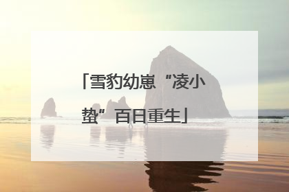 雪豹幼崽“凌小蛰”百日重生