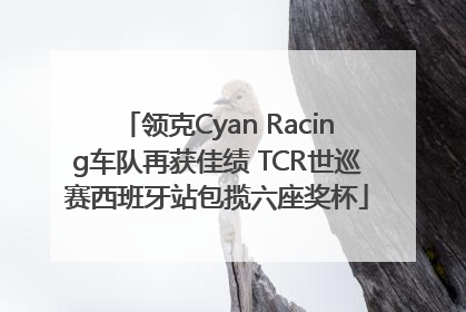 领克Cyan Racing车队再获佳绩 TCR世巡赛西班牙站包揽六座奖杯