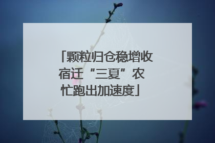 颗粒归仓稳增收 宿迁“三夏”农忙跑出加速度