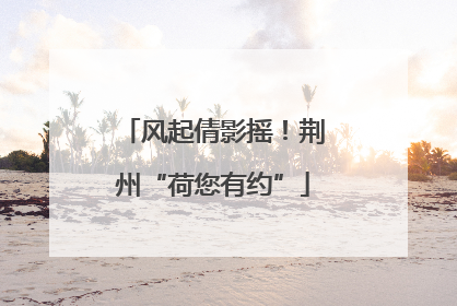 风起倩影摇！荆州“荷您有约”