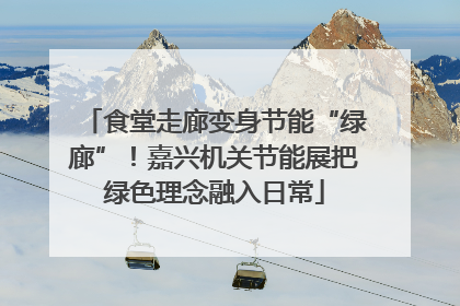 食堂走廊变身节能“绿廊”！嘉兴机关节能展把绿色理念融入日常
