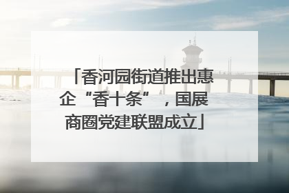 香河园街道推出惠企“香十条”，国展商圈党建联盟成立