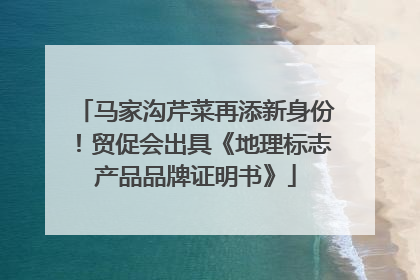 马家沟芹菜再添新身份！贸促会出具《地理标志产品品牌证明书》