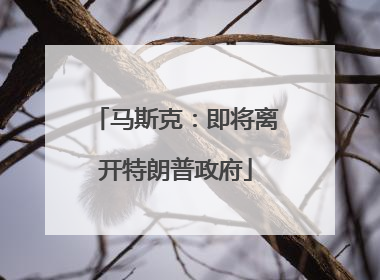 马斯克：即将离开特朗普政府