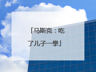 马斯克：吃了儿子一拳