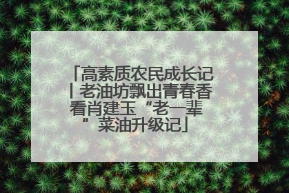 高素质农民成长记丨老油坊飘出青春香 看肖建玉“老一辈”菜油升级记