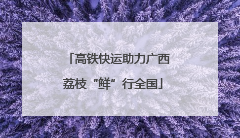 高铁快运助力广西荔枝“鲜”行全国