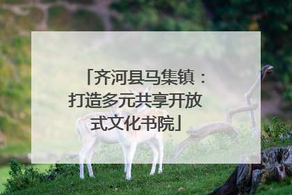 齐河县马集镇：打造多元共享开放式文化书院