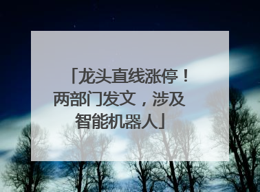 龙头直线涨停！两部门发文，涉及智能机器人