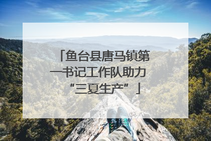 鱼台县唐马镇第一书记工作队助力“三夏生产”