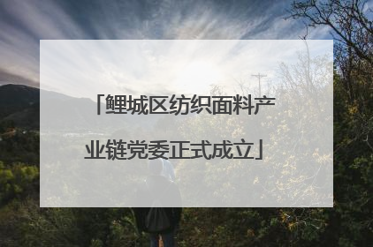 鲤城区纺织面料产业链党委正式成立