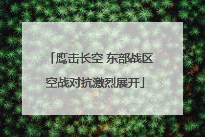 鹰击长空 东部战区空战对抗激烈展开