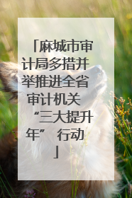 麻城市审计局多措并举推进全省审计机关 “三大提升年” 行动