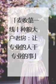 麦收第一线丨种粮大户老房：让专业的人干专业的事