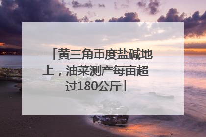 黄三角重度盐碱地上，油菜测产每亩超过180公斤